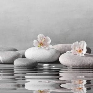 💫 Meet your Posher, Amanda 🤸🏼‍♀️🎡🪷